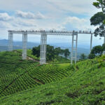 Wisata Kemuning Karanganyar