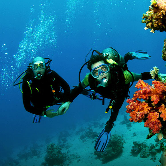 diving karimunjawa